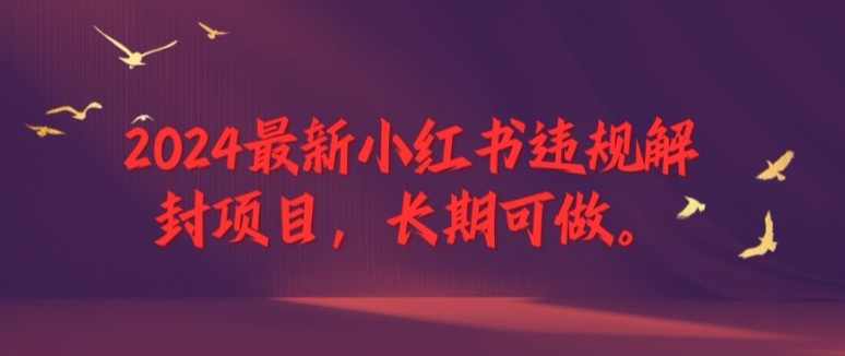 2024最新小红书违规解封项目，长期可做，一个可以做到退休的项目【揭秘】-19点研学社