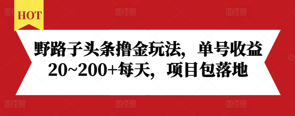 野路子头条撸金玩法，单号收益20~200+每天，项目包落地-19点研学社
