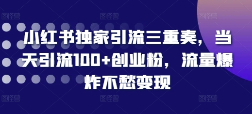 小红书独家引流三重奏，当天引流100+创业粉，流量爆炸不愁变现【揭秘】-19点研学社