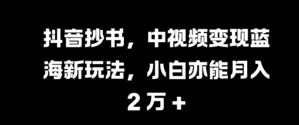 抖音抄书，中视频变现蓝海新玩法，小白亦能月入 过W【揭秘】-19点研学社