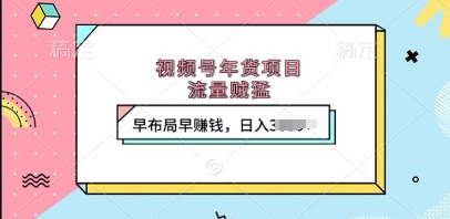 视频号年货项目，流量贼猛，早布局早挣钱，日入上k【揭秘】-19点研学社