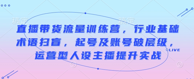 直播带货流量训练营，行业基础术语扫盲，起号及账号破层级，运营型人设主播提升实战-19点研学社