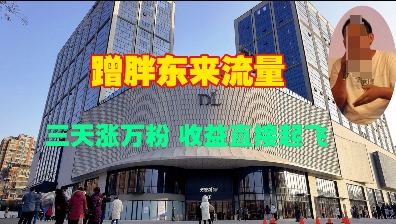 蹭胖东来流量，三天涨万粉，收益直接起飞-19点研学社