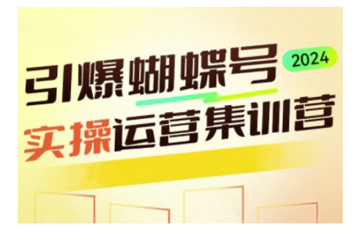 引爆蝴蝶号实操运营，助力你深度掌握蝴蝶号运营，实现高效实操，开启流量变现之路-19点研学社