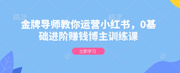 金牌导师教你运营小红书，0基础进阶赚钱博主训练课-19点研学社