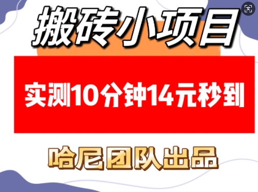 搬砖小项目，实测10分钟14元秒到，每天稳定几张(赠送必看稳定)-19点研学社