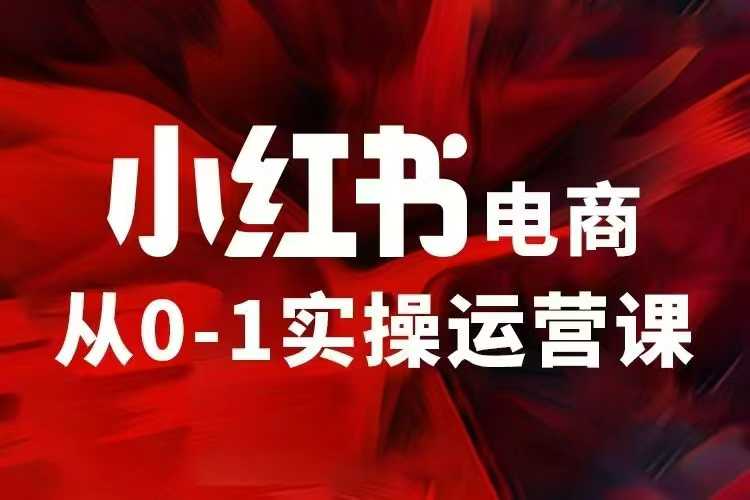 小红书电商运营，97节小红书vip内部课，带你实现小红书赚钱-19点研学社