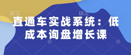 直通车实战系统：低成本询盘增长课，让个人通过技能实现升职加薪，让企业低成本获客，订单源源不断-19点研学社