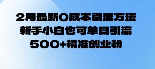 2月最新0成本引流方法，新手小白也可单日引流500+精准创业粉-19点研学社