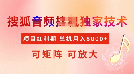 全网首发搜狐音频挂JI独家技术，项目红利期，可矩阵可放大，稳定月入8k【揭秘】-19点研学社