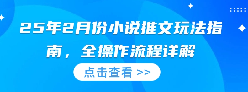 25年2月份小说推文玩法指南，全操作流程详解-19点研学社