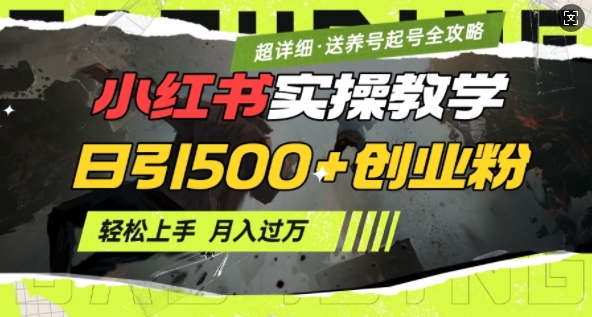 2月小红书最新日引500+创业粉实操教学【超详细】小白轻松上手，月入1W+，附小红书养号起号SOP-19点研学社