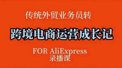 跨境电商速卖通运营课，​运营方法论+后台实操，逻辑清晰-19点研学社