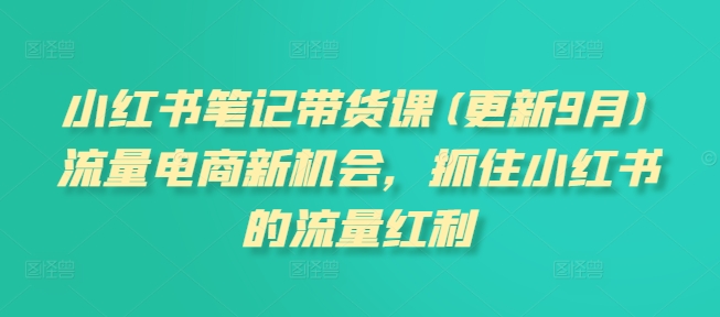 小红书笔记带货课(更新25年2月)流量电商新机会，抓住小红书的流量红利-19点研学社
