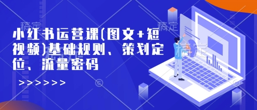 小红书运营课(图文+短视频)基础规则、策划定位、流量密码-19点研学社