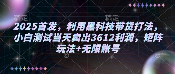 2025首发，利用黑科技带货打法，小白测试当天卖出3612利润，矩阵玩法+无限账号【揭秘】-19点研学社