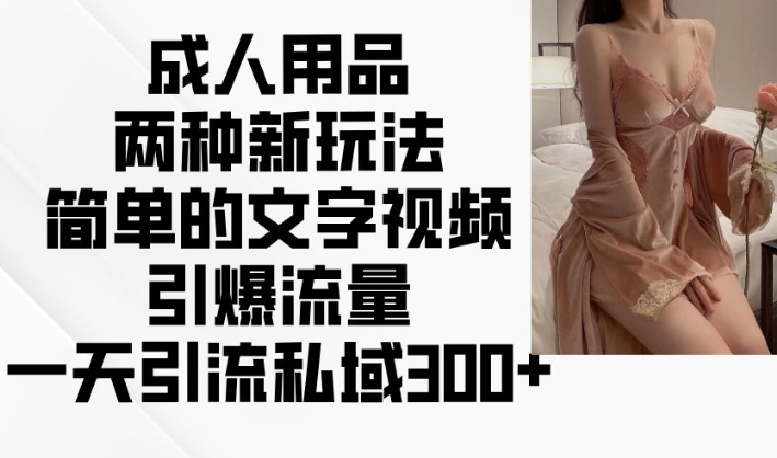 成人用品两种新玩法，简单的文字视频引爆流量，一天引流私域300+-19点研学社