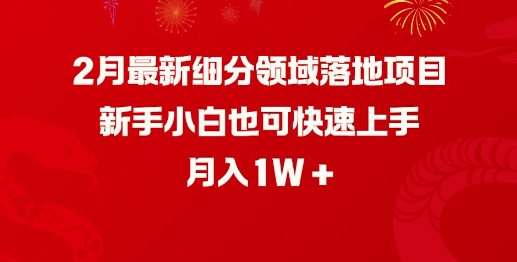 2月最新细分领域落地项目，新手小白也可快速上手，月入1W-19点研学社