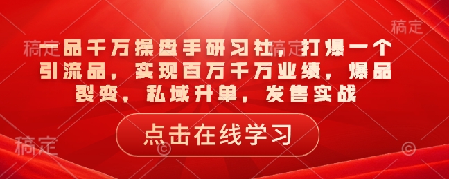 一品千万操盘手研习社，打爆一个引流品，实现百万千万业绩，爆品裂变，私域升单，发售实战-19点研学社