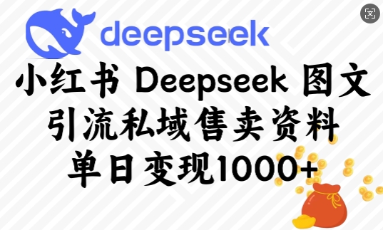 小红书Deepseek图文引流私域售卖资料，单日变现多张-19点研学社