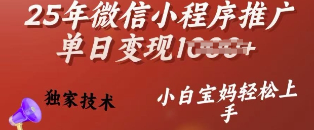 25年微信小程序推广单日变现多张，独家技术，小白宝妈轻松上手【揭秘】-19点研学社