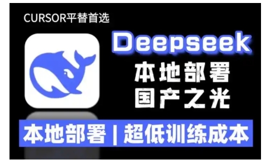 2025年deepseek R1 大型模型本地安装部署(文件+教程)本地部署，超低训练成本-19点研学社
