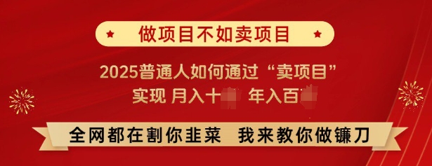 必看，做项目不如卖项目，2025普通人如何通过“卖项目”实现月入十个，年入百个-19点研学社