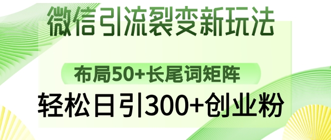 微信引流裂变新玩法：布局50+长尾词矩阵，轻松日引300+创业粉-19点研学社