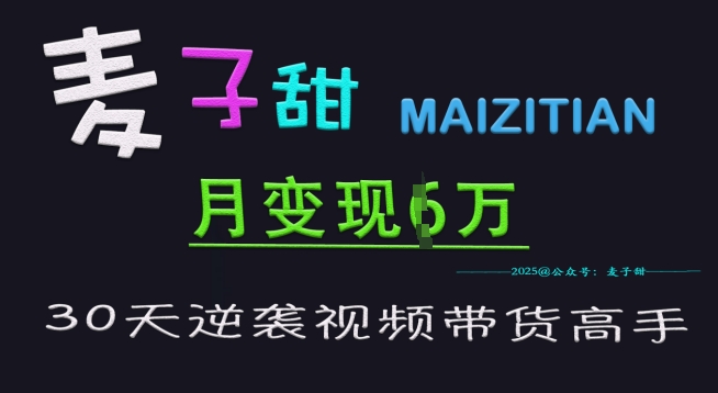 麦子甜30天逆袭视频带货高手，单月变现6W加特训营-19点研学社