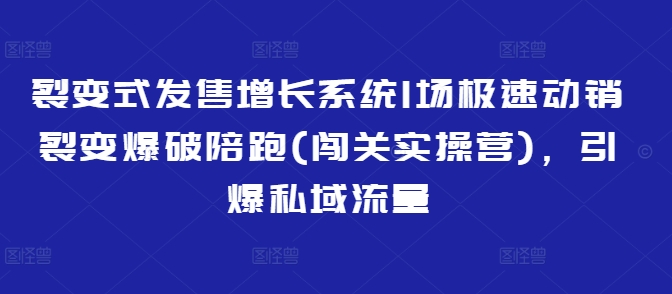 裂变式发售增长系统1场极速动销裂变爆破陪跑(闯关实操营)，引爆私域流量-19点研学社