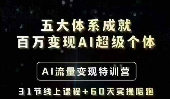 五大体系成就百万变现AI超级个体- AI流量变现特训营，一步一步教你一个人怎么年入百W-19点研学社
