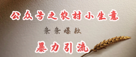 deepseek写农村小项目，条条爆款，暴力引流-19点研学社