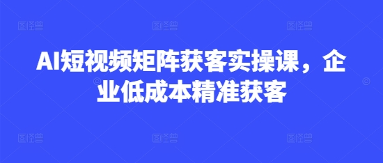 AI短视频矩阵获客实操课，企业低成本精准获客-19点研学社