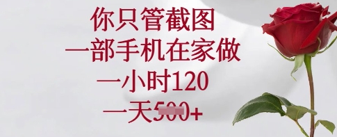 你只管截图，一部手机在家做，一小时120.一天5张【揭秘】-19点研学社