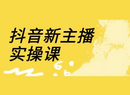 抖音新主播实操课，直播间流量运营线上实操课(18节)-19点研学社