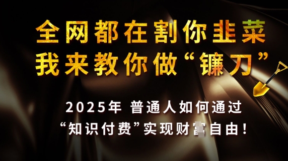 全网都在割你韭菜，我来教你做镰刀，2025普通人如何通过知识付费，实现财F自由【揭秘】-19点研学社