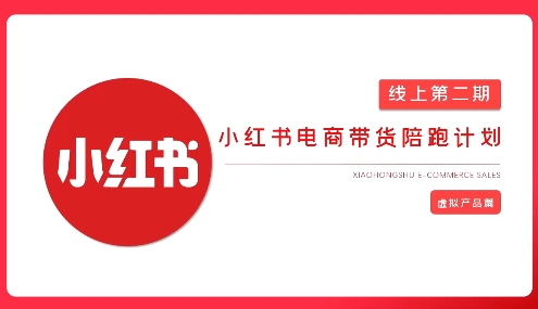 2025小红书虚拟电商实战课，从0到1打造无货源店铺，AI+爆款笔记轻松变现-19点研学社