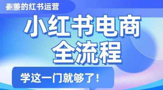 小红书电商全流程，精简易懂，从入门到精通，学这一门就够了-19点研学社