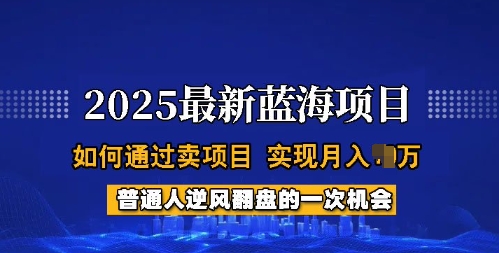 2025蓝海项目，普通人如何通过卖项目，实现月入过W，全过程【揭秘】-19点研学社