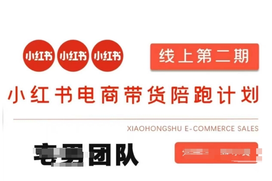 小红书电商带货课2期，月利润20个的小红书电商的有货源，无货源，虚拟产品，付费投流等整套玩法-19点研学社