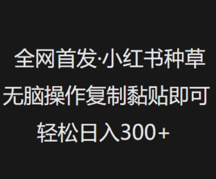 全网首发，小红书种草无脑操作，复制黏贴即可，轻松日入3张-19点研学社
