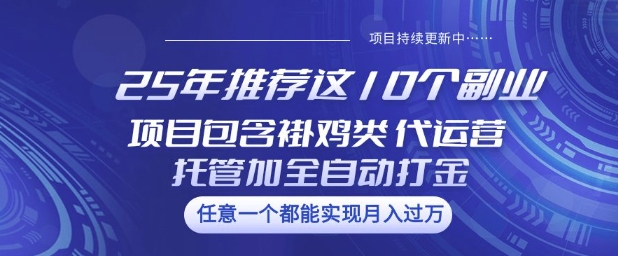 25年推荐这10个副业项目包含褂鸡类、代运营托管类、全自动打金类【揭秘】-19点研学社