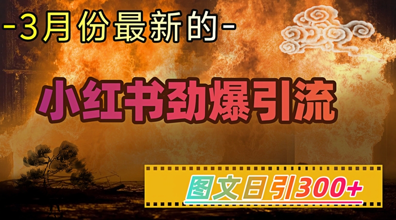 小红书超劲爆引流手段，图文日引300+轻松变现1W-19点研学社