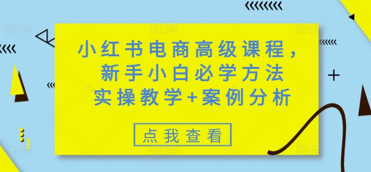 小红书电商高级课程，新手小白必学方法，实操教学+案例分析-19点研学社
