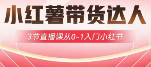 小红薯达人带货启航计划，3节直播课从0-1入门小红书-19点研学社