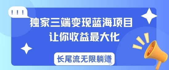 独家三端变现蓝海项目，让你收益最大化，长尾流无限躺挣-19点研学社