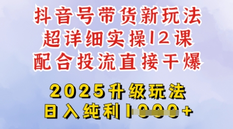 2025全新升级抖音带货玩法，一天纯利四位数，从剪辑到选品再到发布投流，超详细玩法揭秘-19点研学社