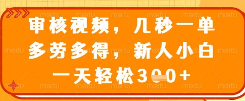 审核视频，几秒一单，多劳多得，新人小白一天轻松3张【揭秘】-19点研学社