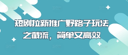 短剧拉新推广野路子玩法之截流，简单又高效-19点研学社