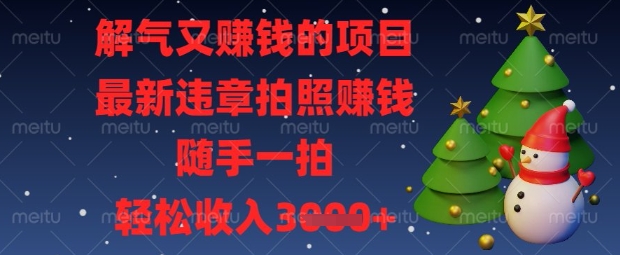 解气又挣钱的项目，最新违章拍照挣钱，随手一拍，轻松收入数张【揭秘】-19点研学社